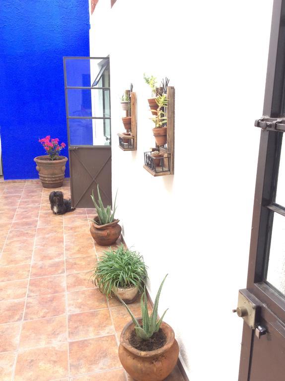 Casa Bonita Hotel Guadalajara Ngoại thất bức ảnh